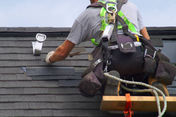 Best Roof Gutter Cleaning  in Parkville, MO