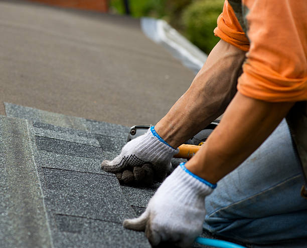 Best New Roof Installation  in Parkville, MO