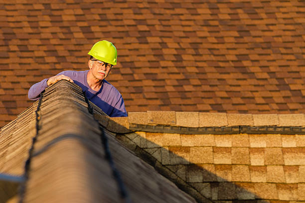 Best Roof Maintenance Services  in Parkville, MO