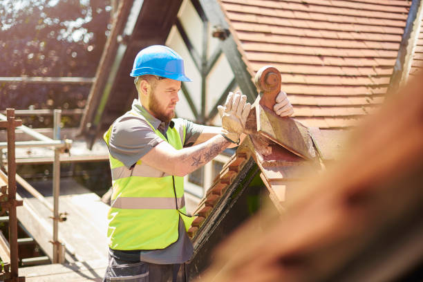 Best Metal Roofing Contractor  in Parkville, MO